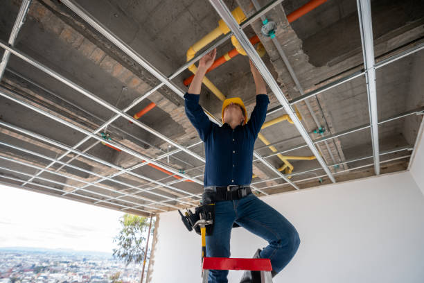 Best Emergency Plumber  in Crystal Lake, FL